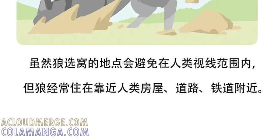 《胖达x胖达》第54话 第27页