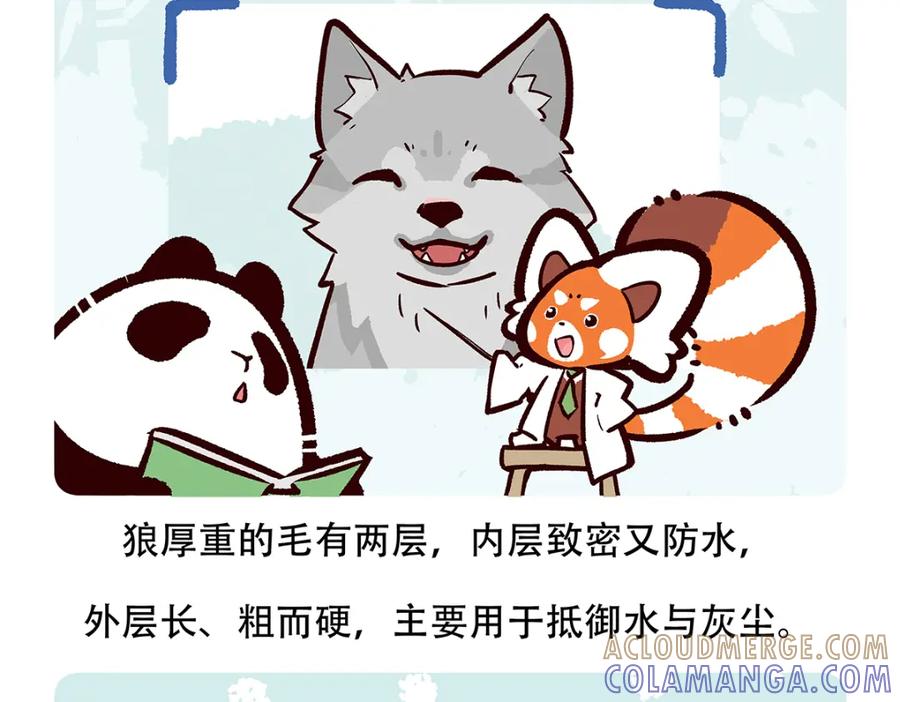 《胖达x胖达》第54话 第29页