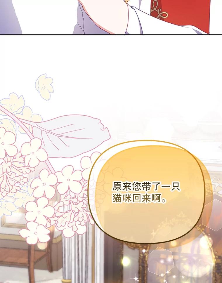 《小不点圣女大人》11.小猫咪 第40页