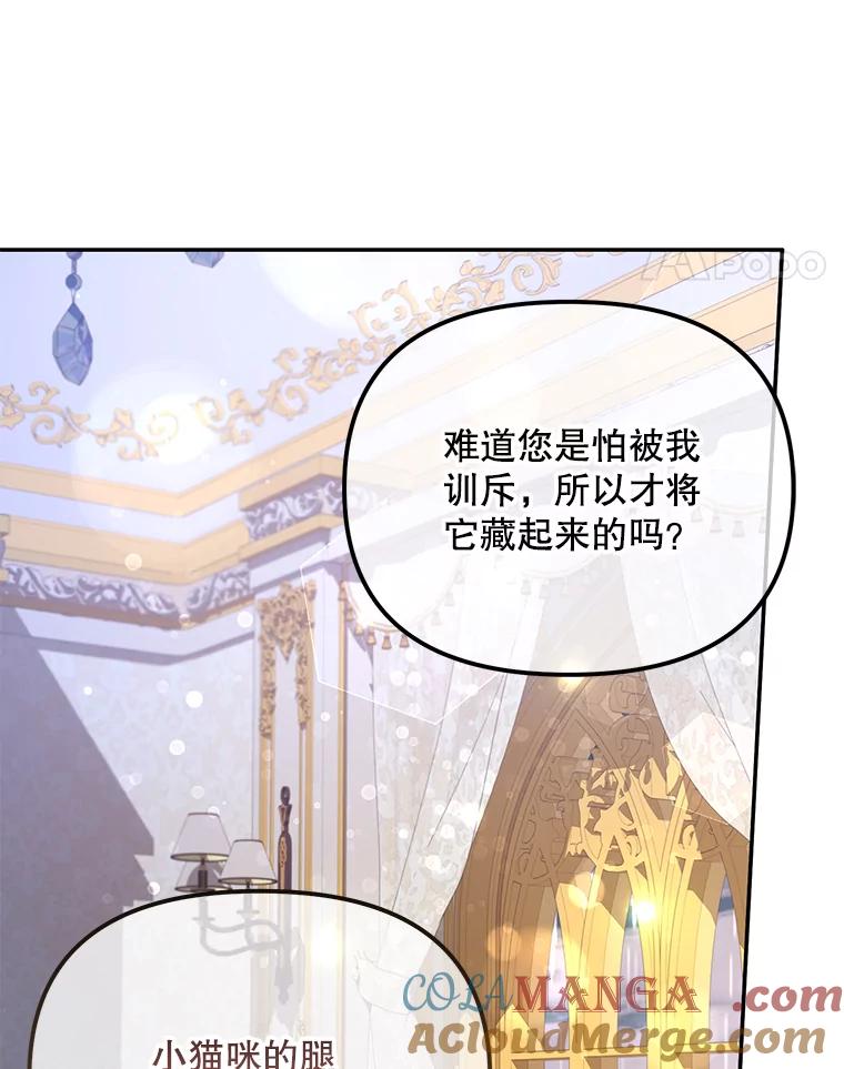 《小不点圣女大人》11.小猫咪 第45页