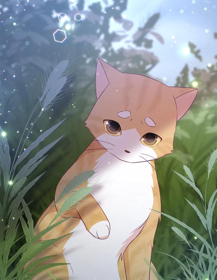 《小不点圣女大人》11.小猫咪 第14页