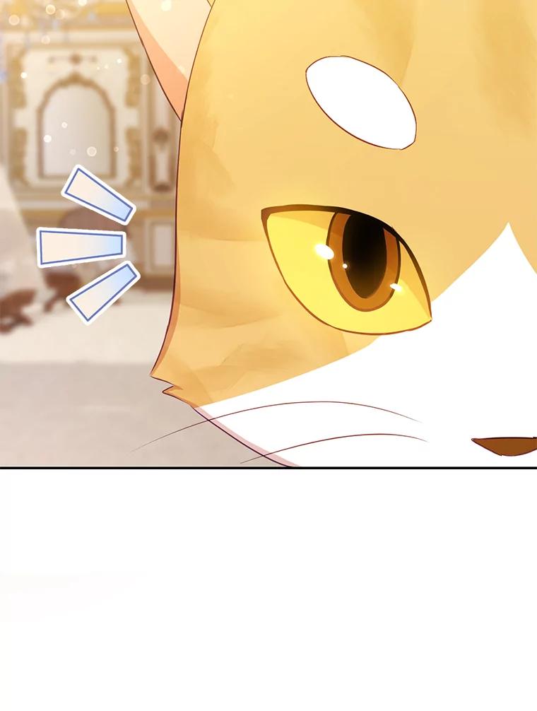 《小不点圣女大人》11.小猫咪 第122页