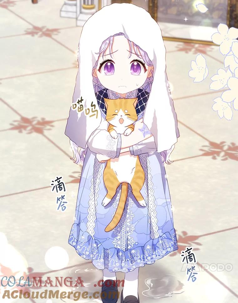 《小不点圣女大人》11.小猫咪 第41页