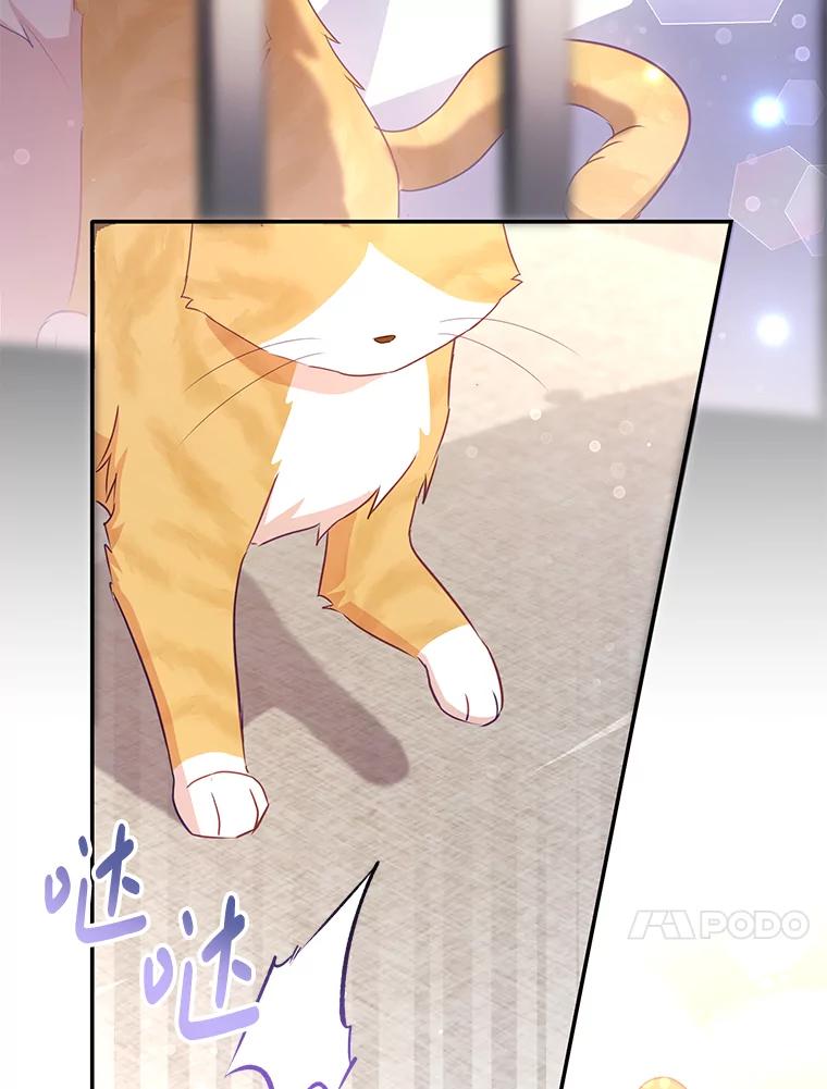 《小不点圣女大人》11.小猫咪 第119页