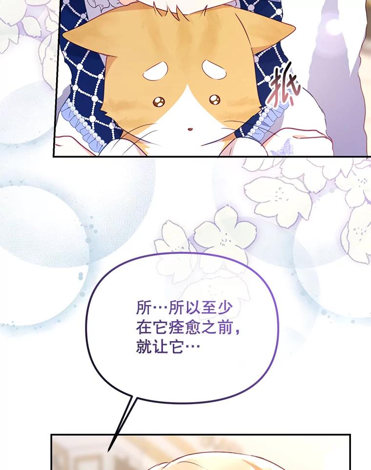 《小不点圣女大人》11.小猫咪 第47页