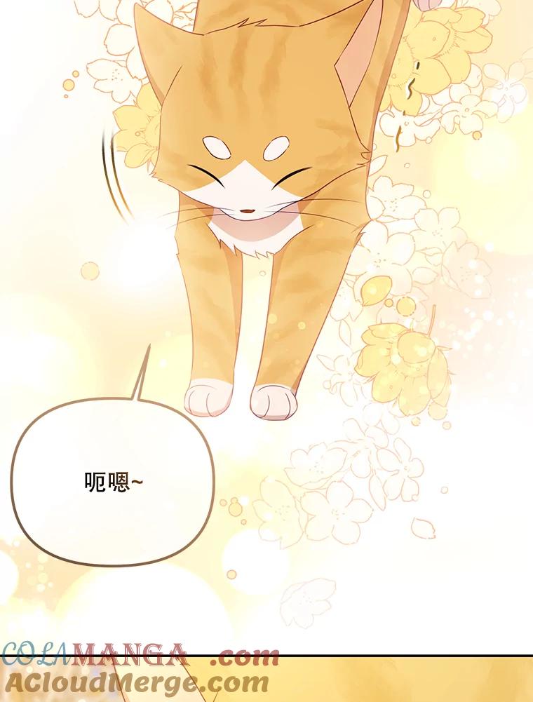 《小不点圣女大人》11.小猫咪 第121页