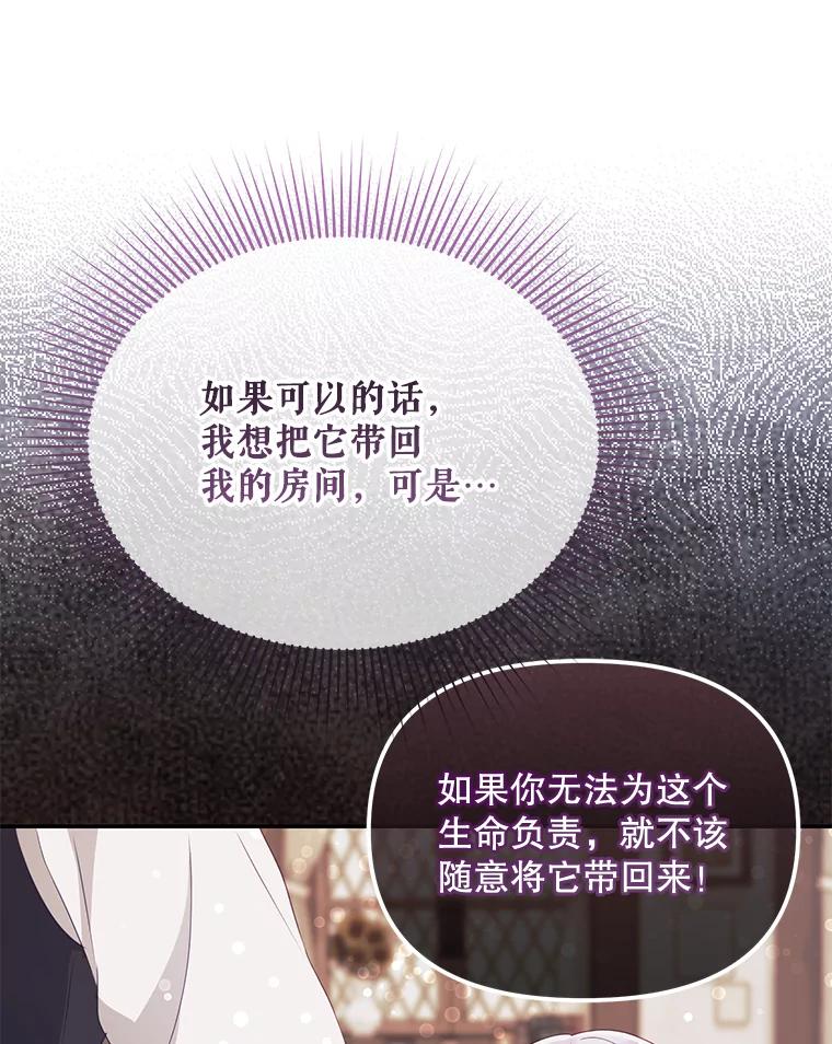 《小不点圣女大人》11.小猫咪 第30页