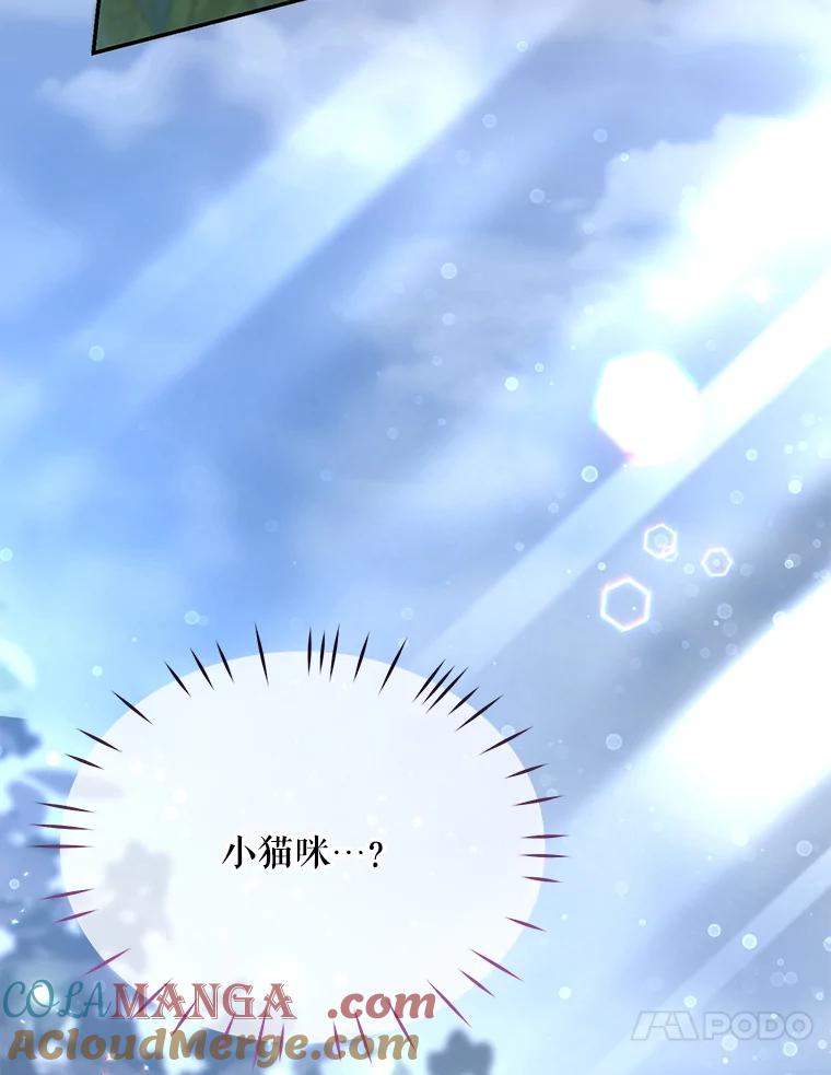 《小不点圣女大人》11.小猫咪 第13页