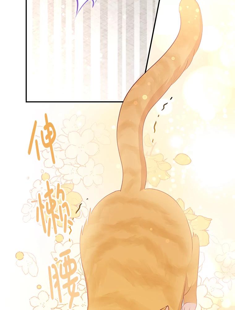 《小不点圣女大人》11.小猫咪 第120页