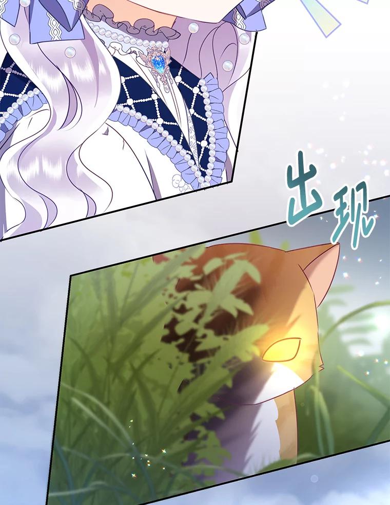 《小不点圣女大人》11.小猫咪 第12页