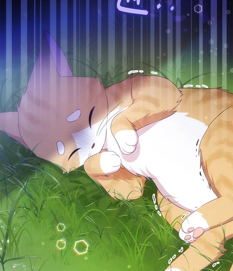 《小不点圣女大人》11.小猫咪 第19页