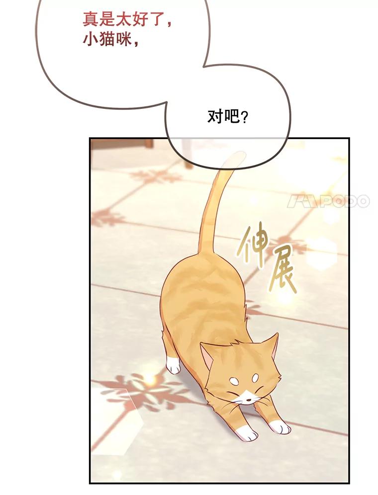 《小不点圣女大人》11.小猫咪 第68页
