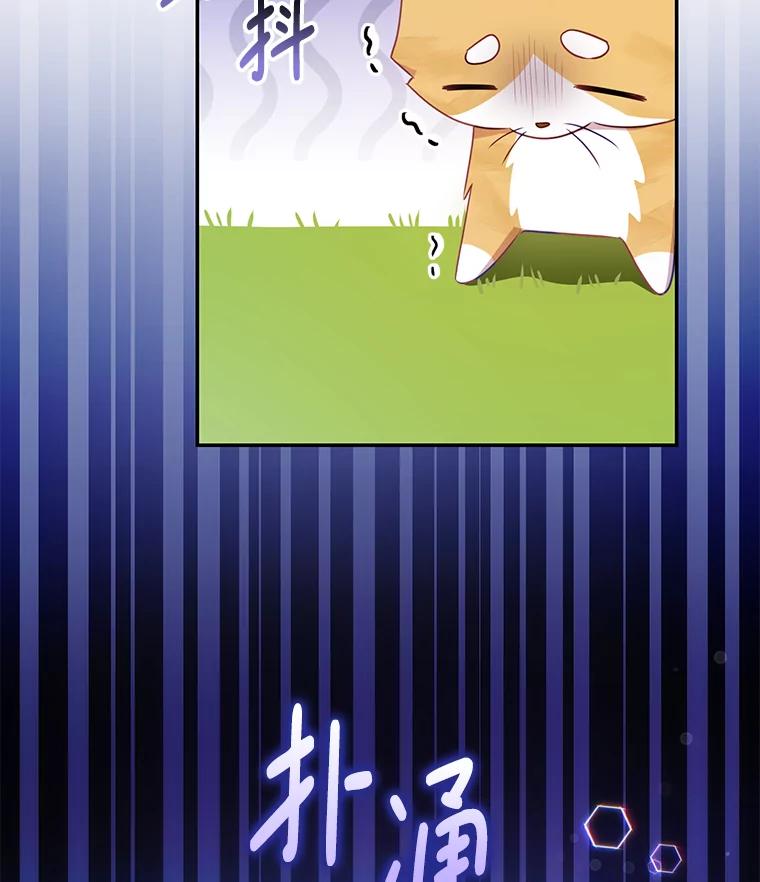 《小不点圣女大人》11.小猫咪 第18页