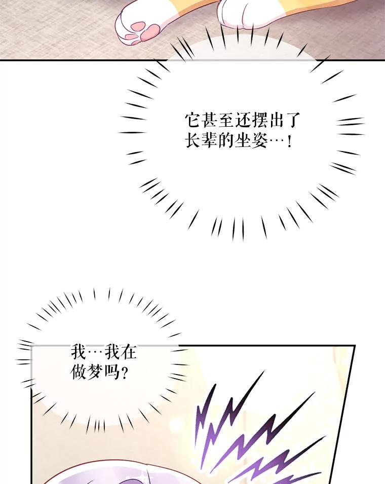 《小不点圣女大人》11.小猫咪 第128页