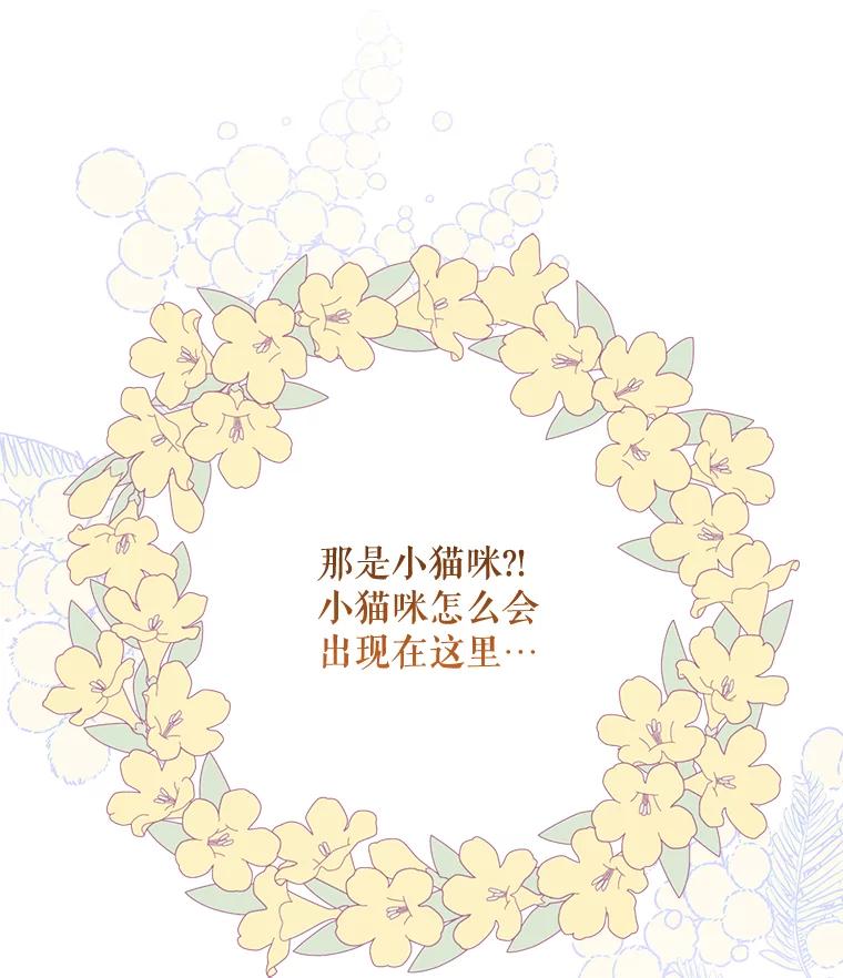《小不点圣女大人》11.小猫咪 第16页