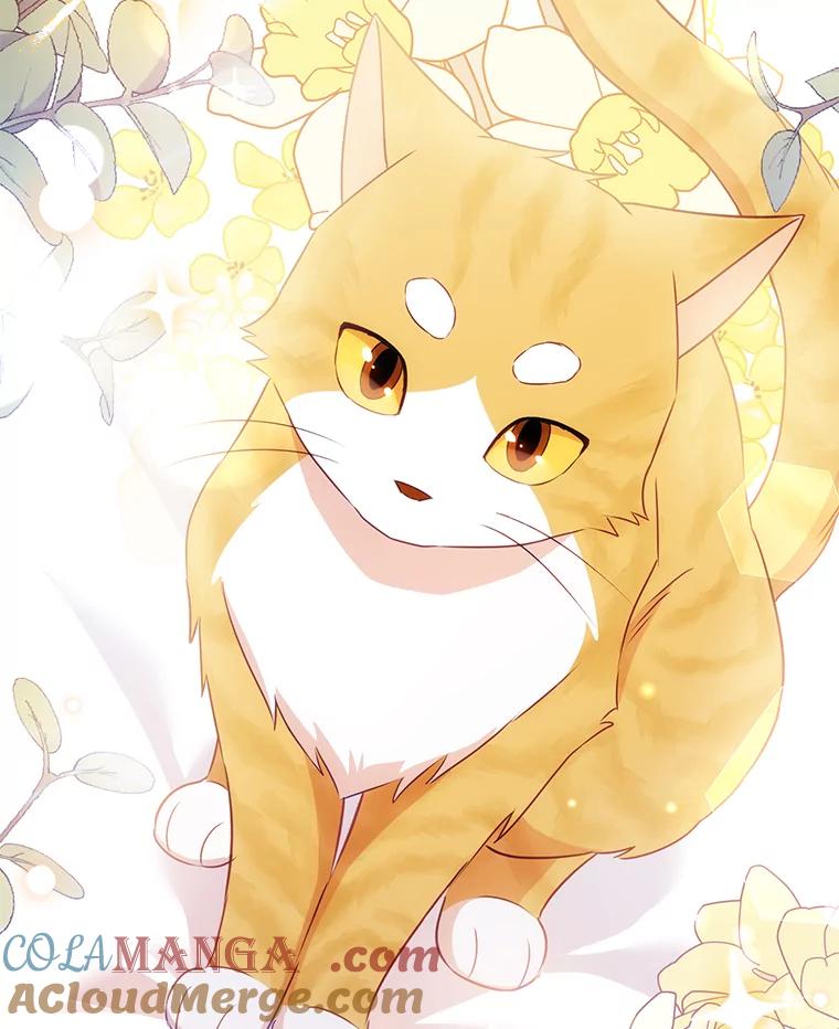 《小不点圣女大人》11.小猫咪 第145页