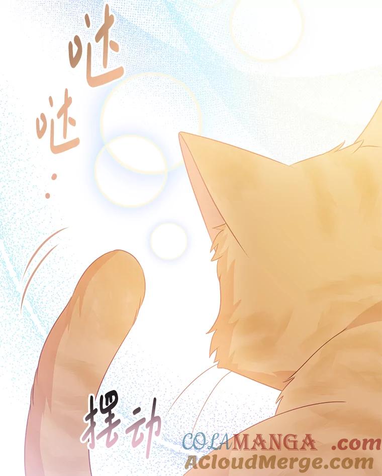 《小不点圣女大人》11.小猫咪 第77页