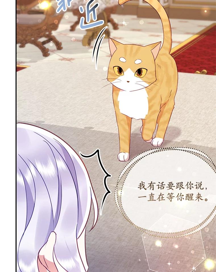 《小不点圣女大人》11.小猫咪 第131页