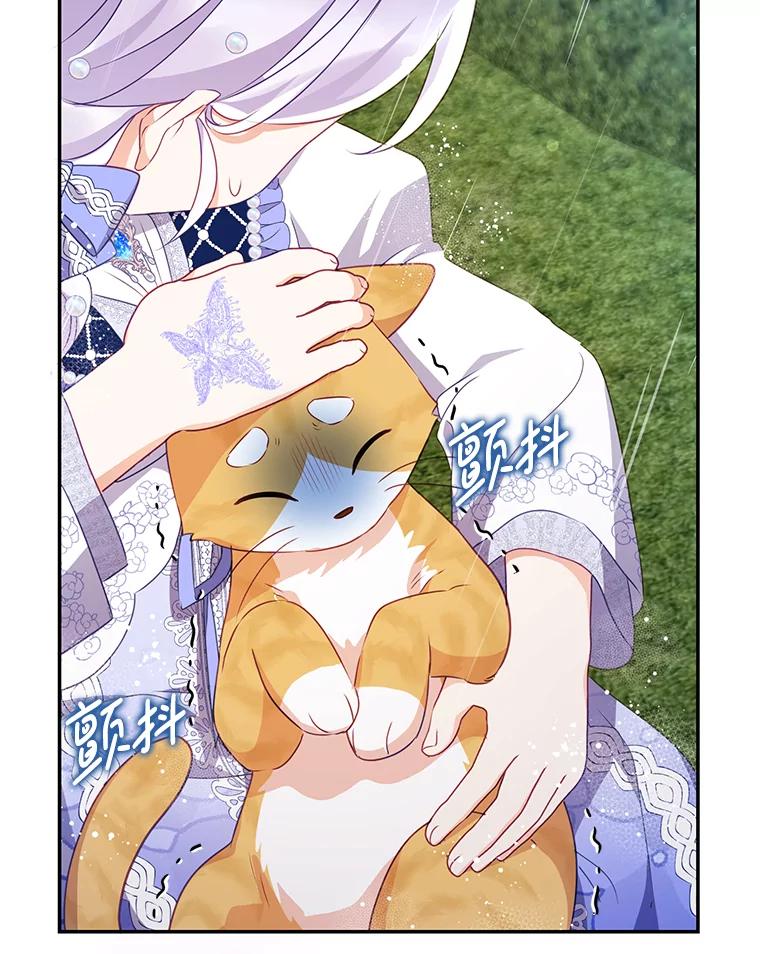 《小不点圣女大人》11.小猫咪 第34页