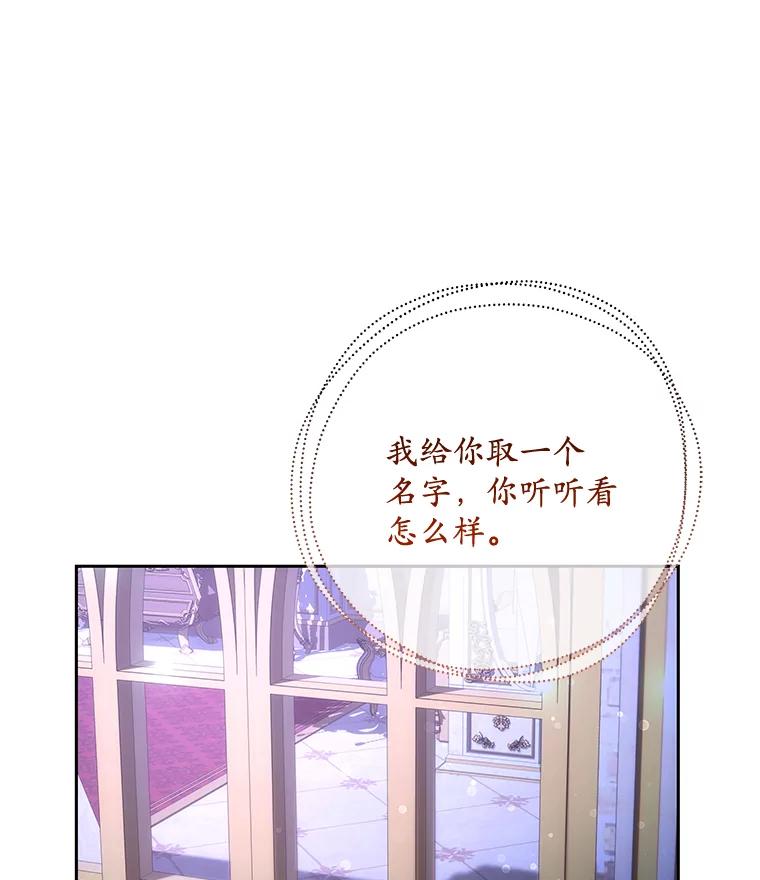 《小不点圣女大人》12.神的使者 第43页