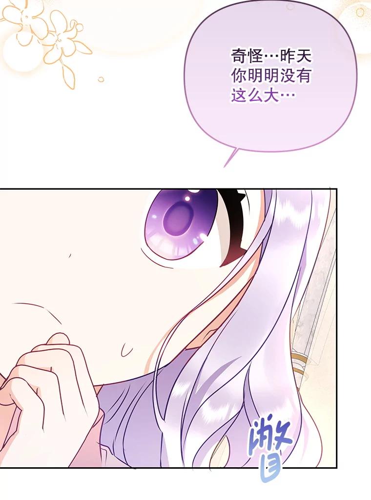 《小不点圣女大人》12.神的使者 第3页