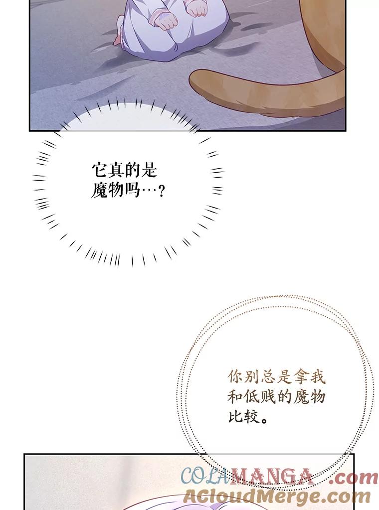 《小不点圣女大人》12.神的使者 第5页