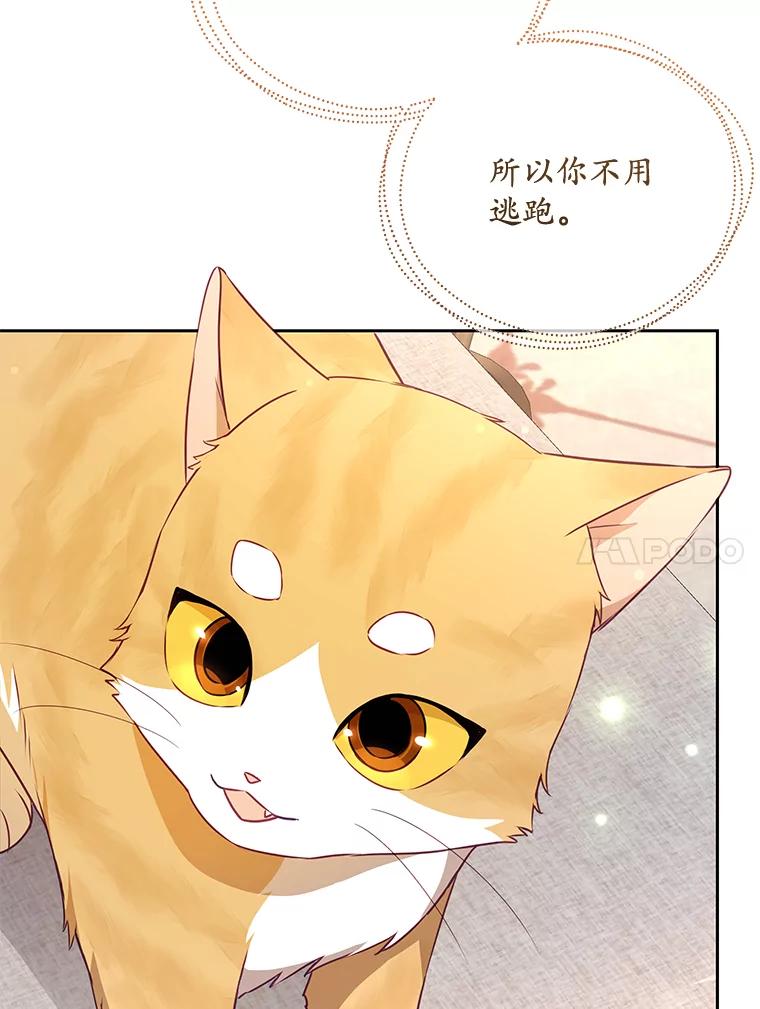 《小不点圣女大人》12.神的使者 第10页