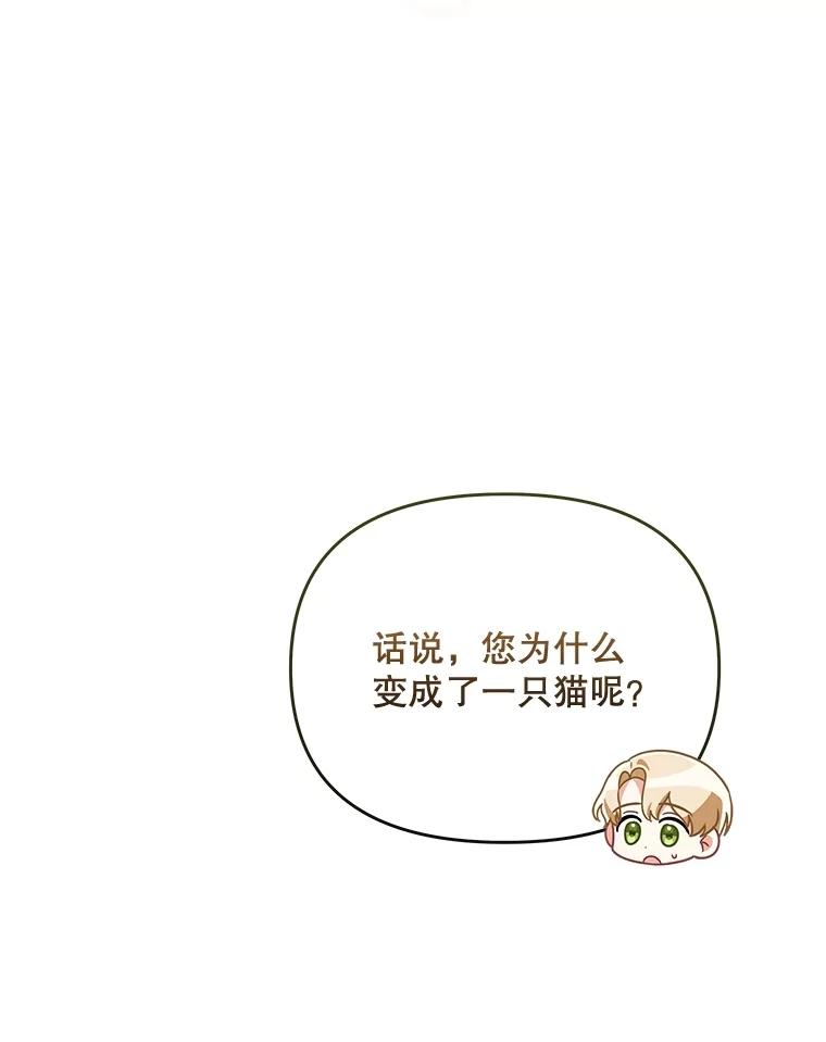 《小不点圣女大人》18.布卡终于说话 第82页