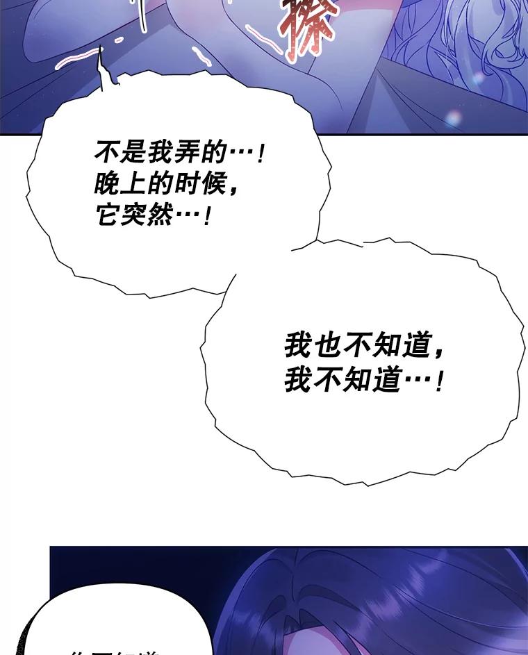 《小不点圣女大人》1.圣痕现 第94页