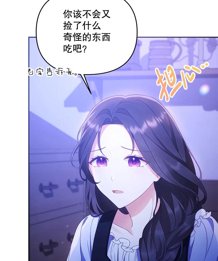 《小不点圣女大人》1.圣痕现 第51页