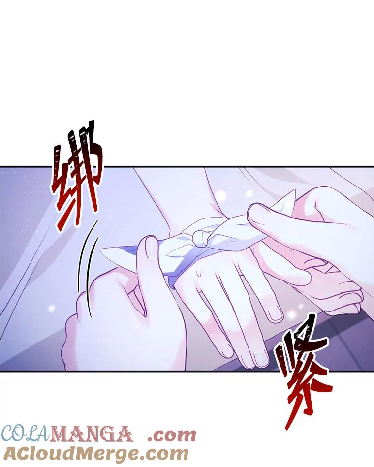 《小不点圣女大人》1.圣痕现 第97页