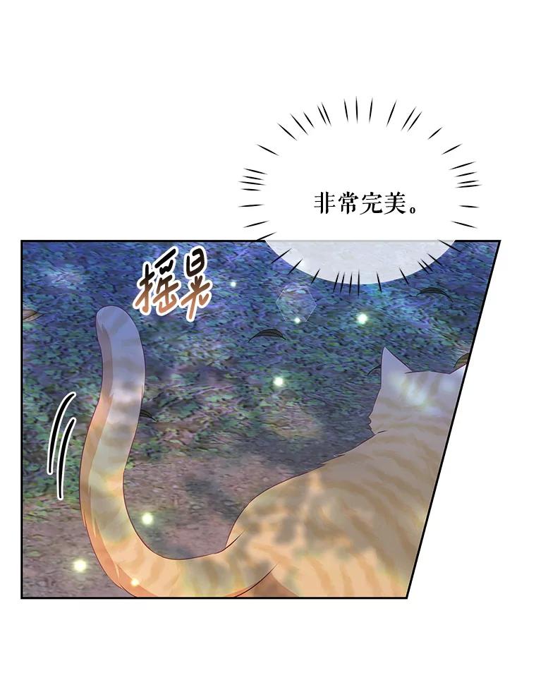 《小不点圣女大人》19.个人的请求 第112页