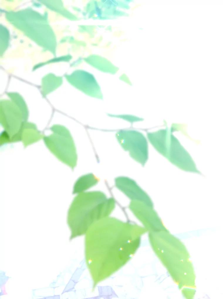 《小不点圣女大人》22.道歉 第2页