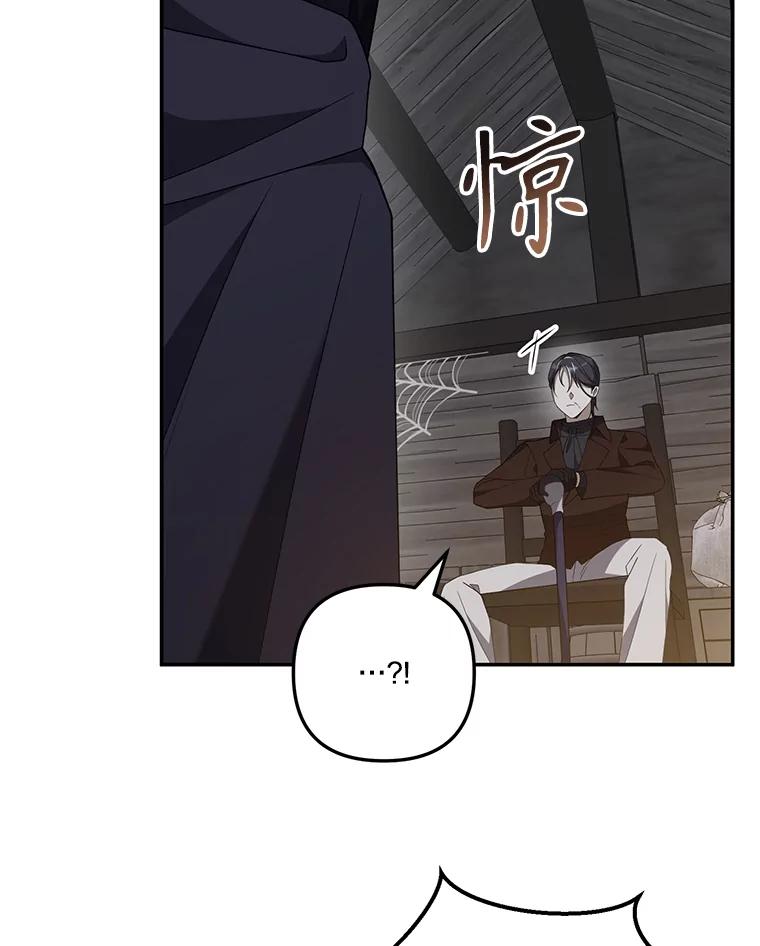 《无尽的诅咒》36.相同的恨 第83页