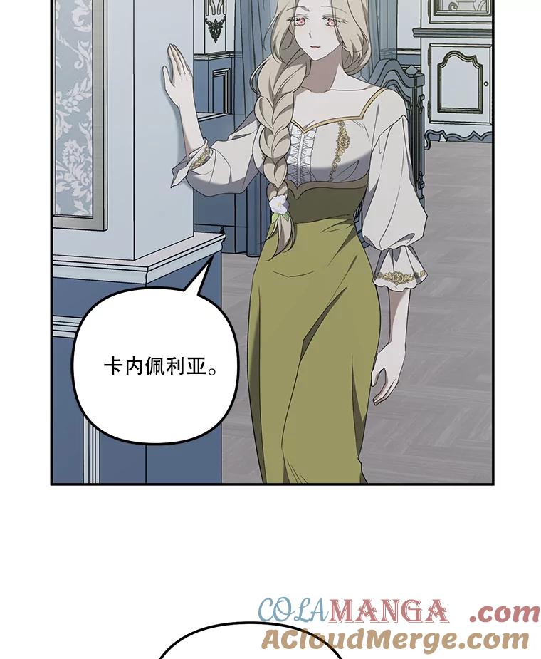 《无尽的诅咒》36.相同的恨 第37页
