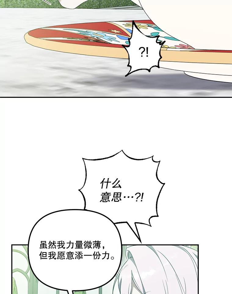 《无尽的诅咒》45.元媛舞会 第8页