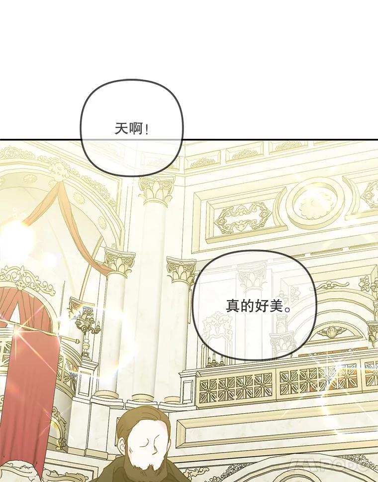《无尽的诅咒》45.元媛舞会 第71页