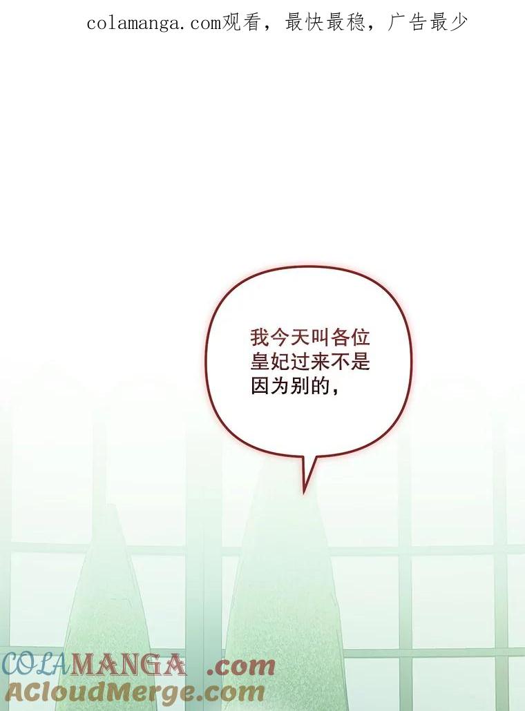 《无尽的诅咒》45.元媛舞会 第1页