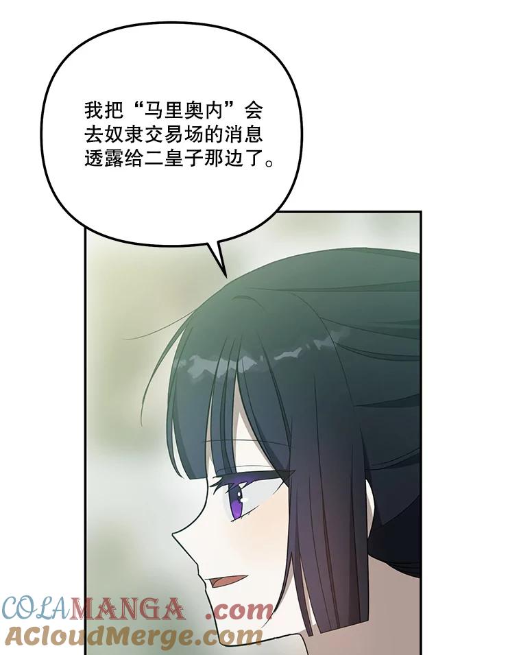 《无尽的诅咒》45.元媛舞会 第41页
