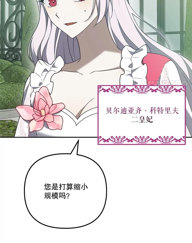 《无尽的诅咒》45.元媛舞会 第4页