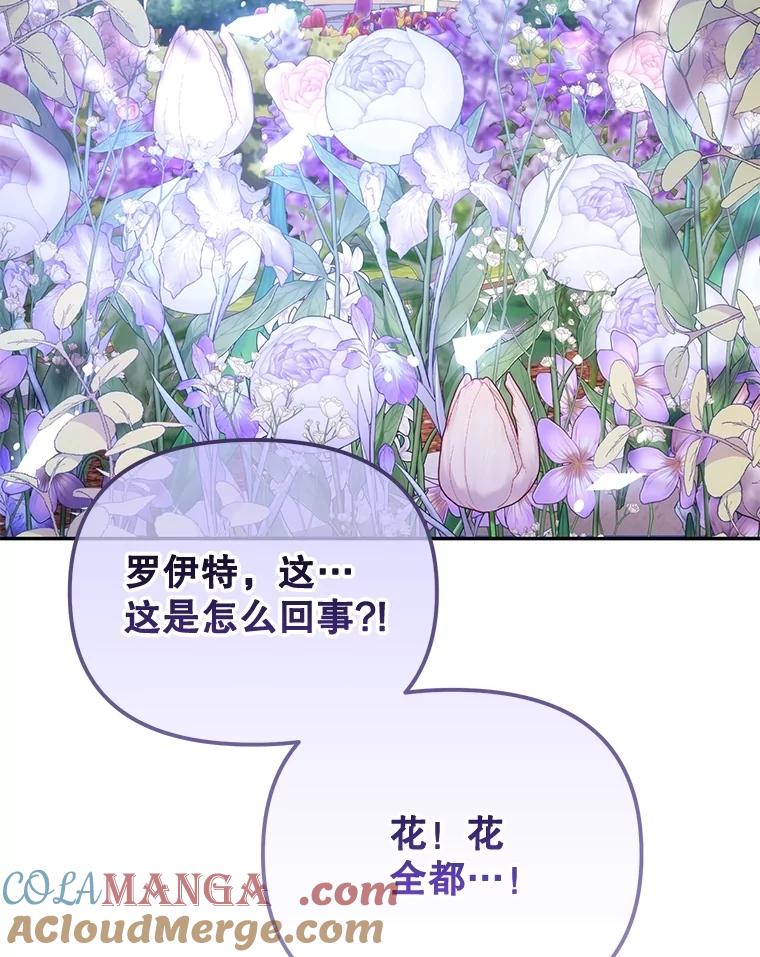 《小不点圣女大人》7.圣力初显 第57页