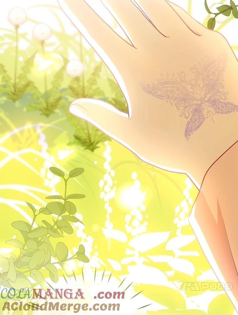 《小不点圣女大人》7.圣力初显 第65页