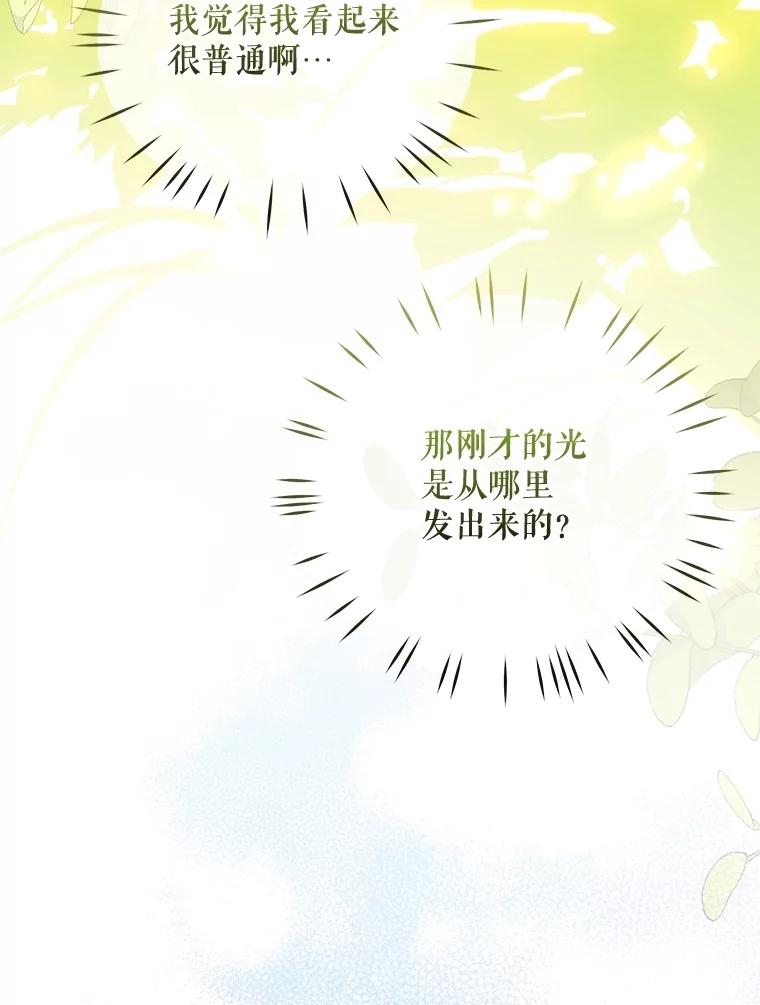 《小不点圣女大人》7.圣力初显 第66页