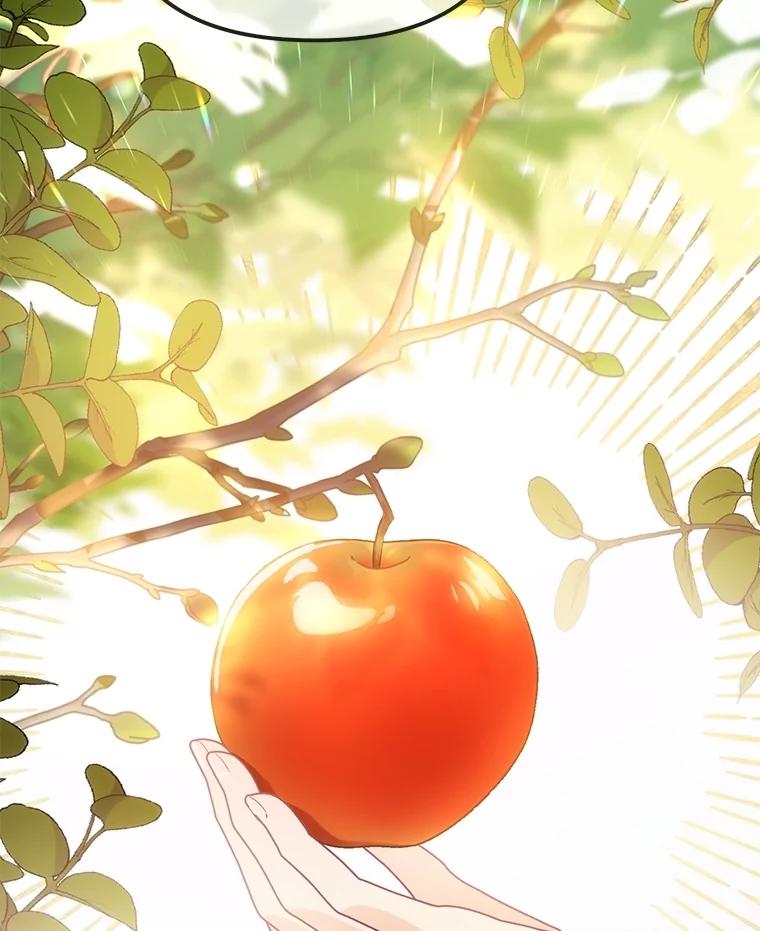 《小不点圣女大人》7.圣力初显 第71页