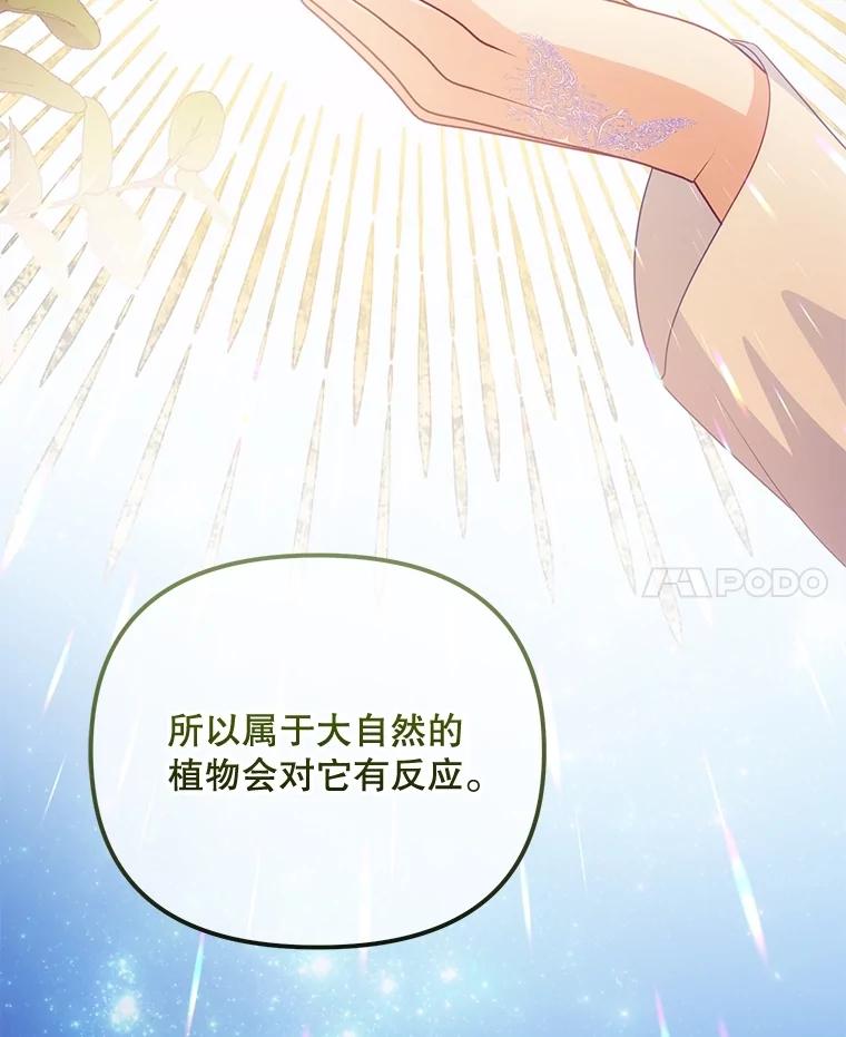 《小不点圣女大人》7.圣力初显 第72页
