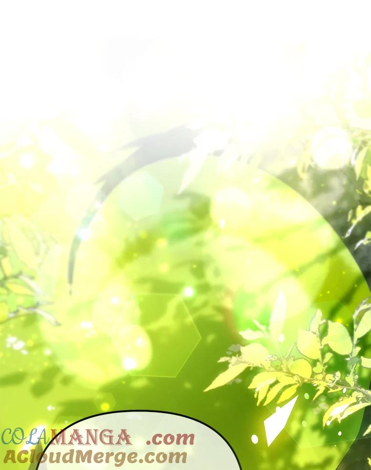 《小不点圣女大人》8.精灵？ 第53页