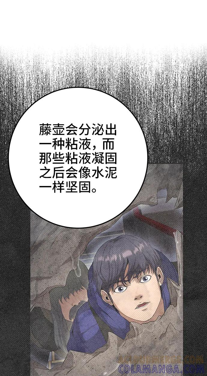 《藤壶》第37话 第13页