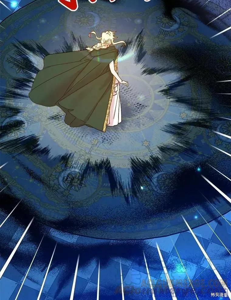 《王女在装疯卖傻》第63话 第117页