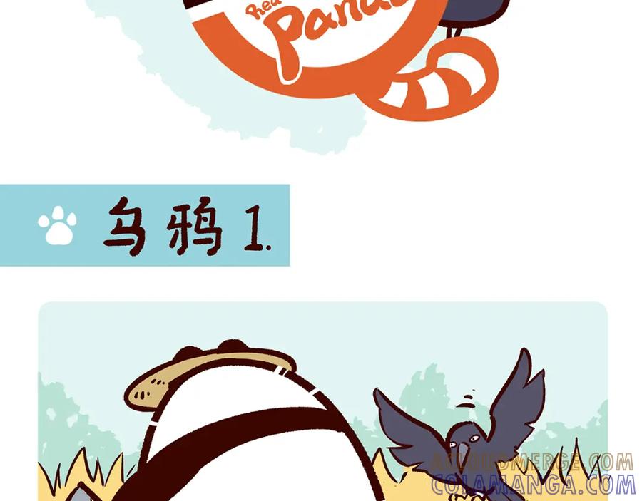 《胖达x胖达》第21话 第13页