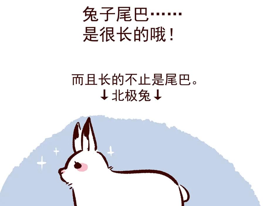 《胖达x胖达》第23话 第30页